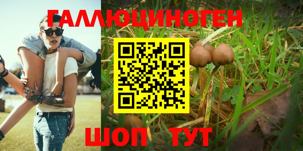 где найти   Псилоцибиновые грибы Psilocybine cubensis  Вход с VPN  Ликино-Дулёво  Псилоцибиновые грибы Psilocybine cubensis 